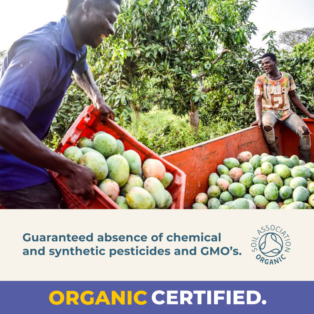 Organic Gently Dried Mango Slices